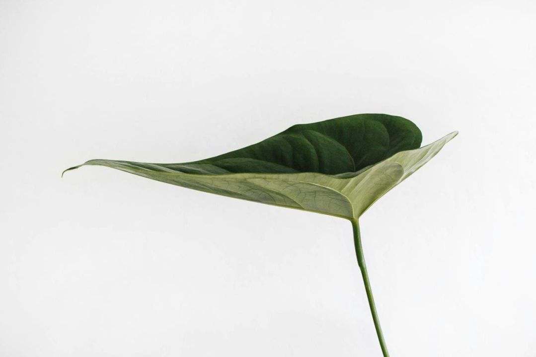 Ontwerp bureau